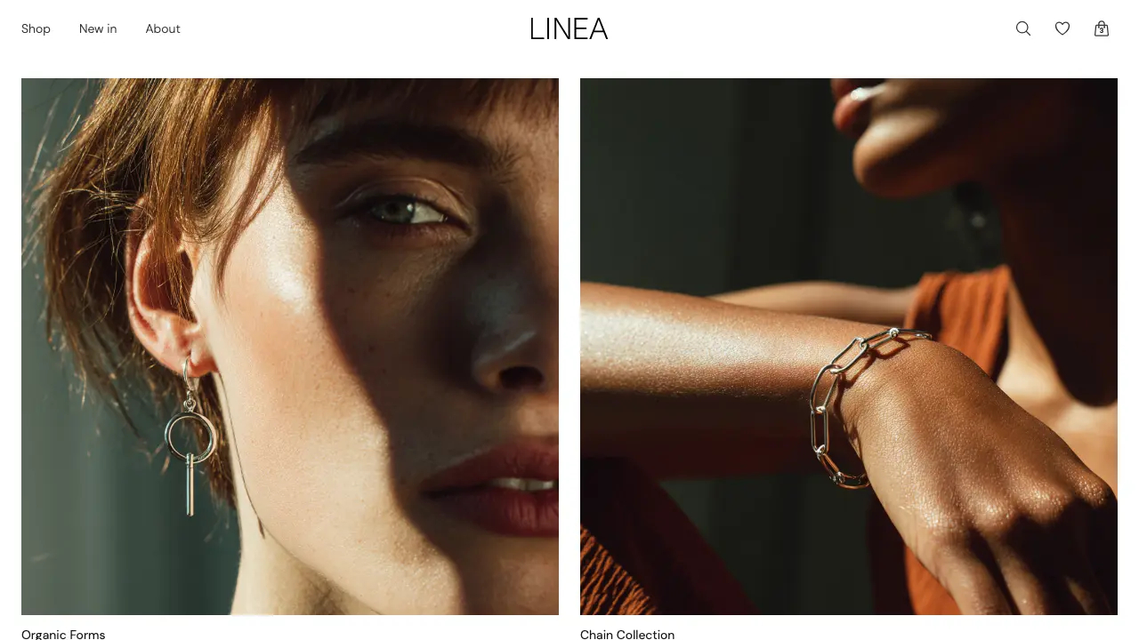 Loading preview of Ecommerce Store Website Template